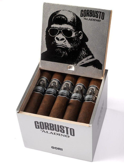 Aladino Gorbusto Gori